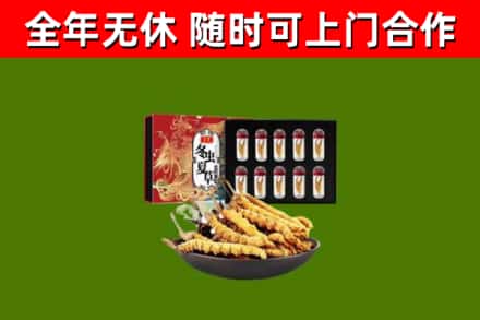 长宁县回收冬虫夏草价格